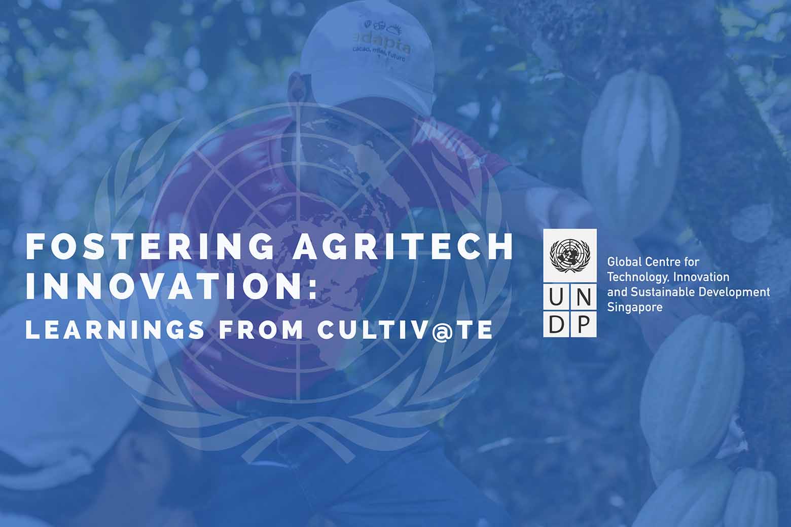An image of the UNDP report on the Cultivate AgTech Innovation Incubator